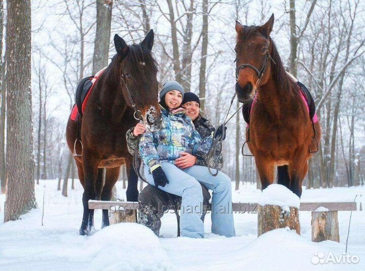 Конные прогулки, фотосессии с лошадьми