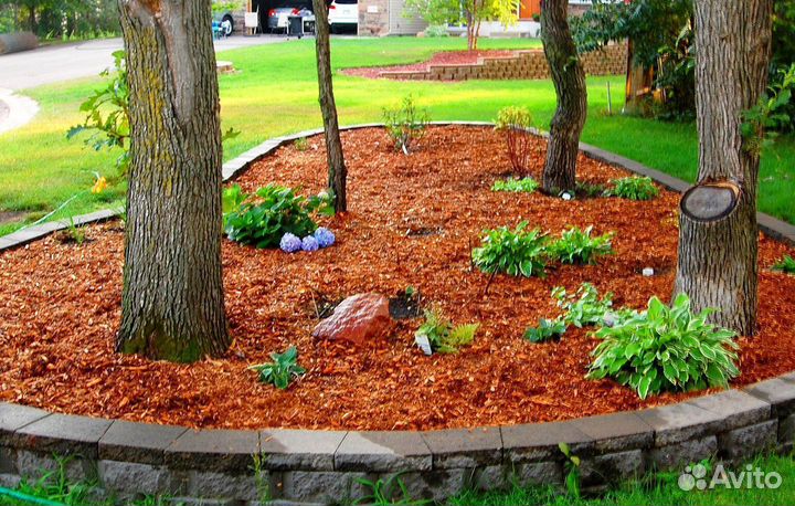 Кора сосны ангарской опт/розница от производителя