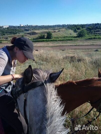 Конные прогулки, обучение верховой езде, фотосесси