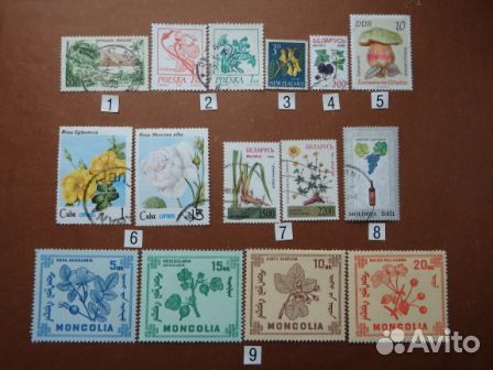 Почтовые марки. Флора -1