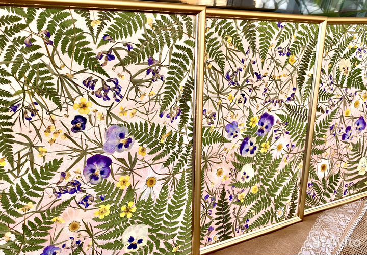 Панно из прессованных цветов (гербарий)