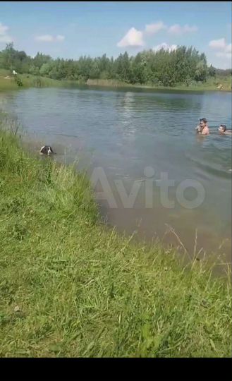 Участок 5 сот. (СНТ, ДНП)