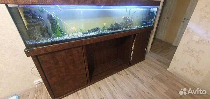 Аквариум с тумбой бу