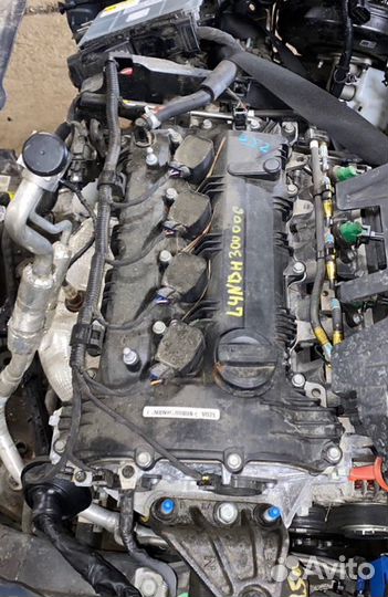 Двигатель Kia Sportage 5 NQ5 длинная база L4NB