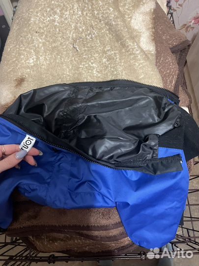 Комбинезон для собаки