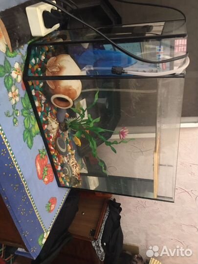 Аквариум с рыбками