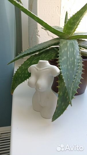 Статуэтка гипсовая Афродита