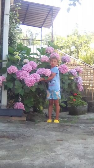 Дом 100 м² на участке 1003 м² (Абхазия)