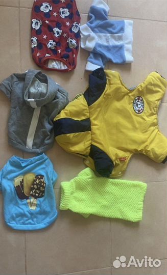 Обувь для маленьких собак и одежда