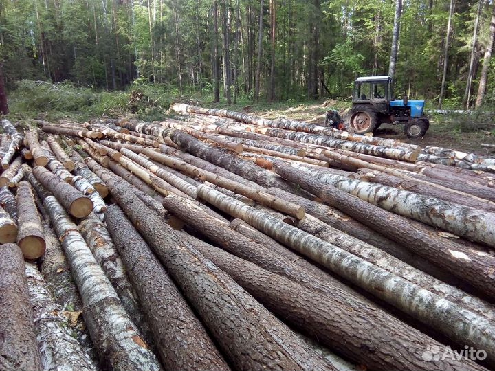 Лесозаготовка со своей техникой