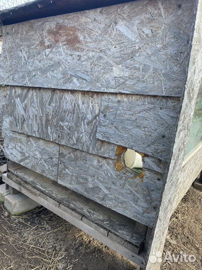 Брудер утепленный