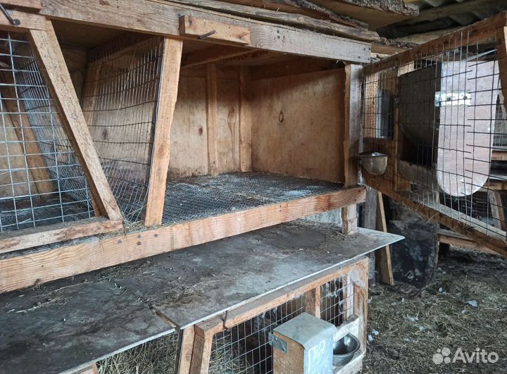 Клетки для кроликов