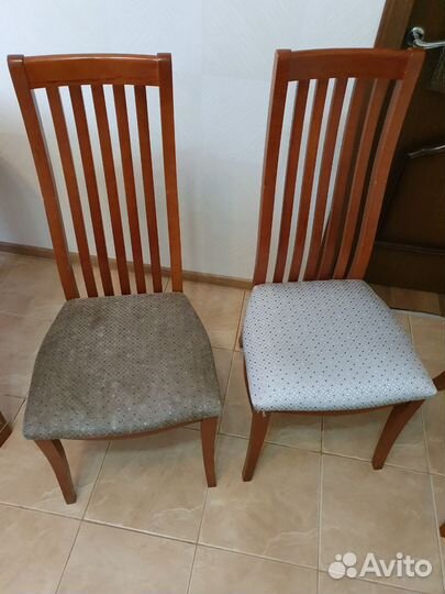 Аренда моющего пылесоса