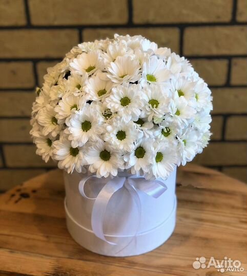 Куст. хризантема с беспл. доставкой