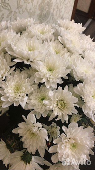 Букеты из хризантем Цветы Доставка