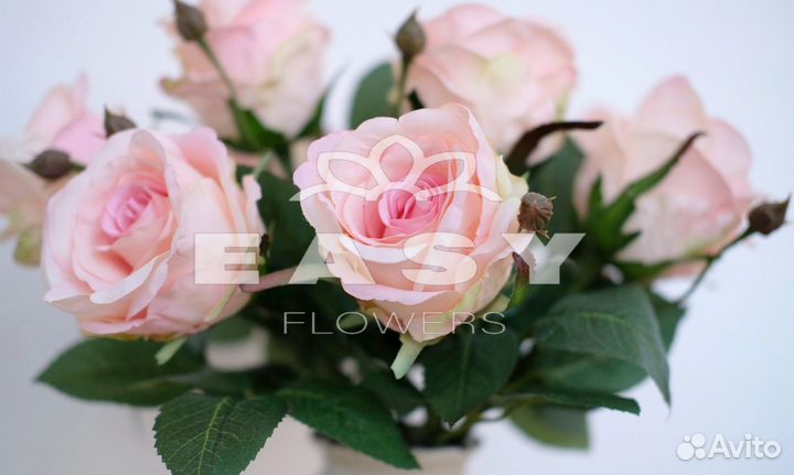 Розы Букеты Цветы 101,51 с доставкой