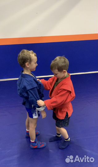 Секция самбо