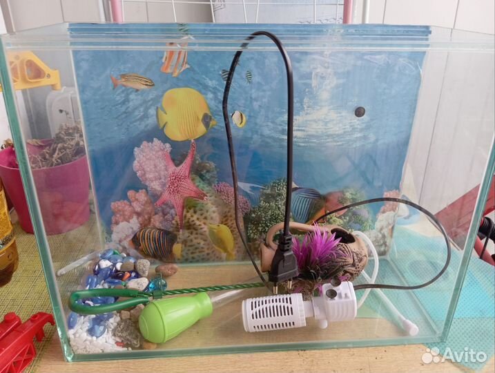 Аквариум