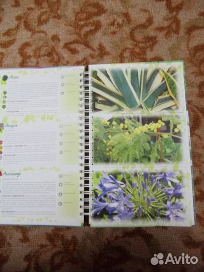 Книга о цветах