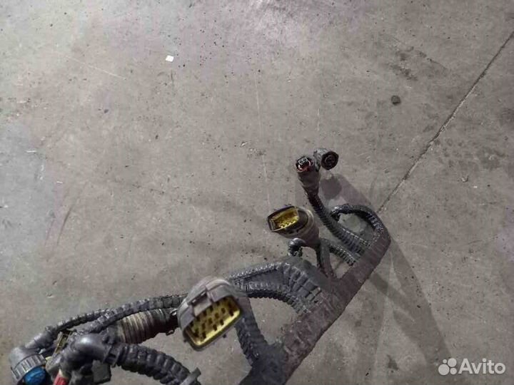 Проводка DAF XF105 (коса) двигателя верхняя