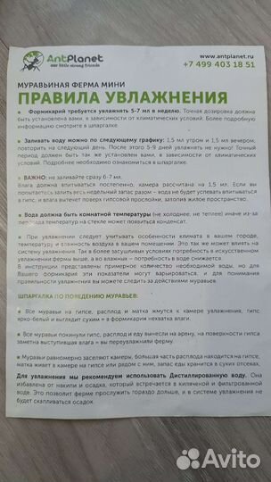 Муравьиная ферма Antplanet мини