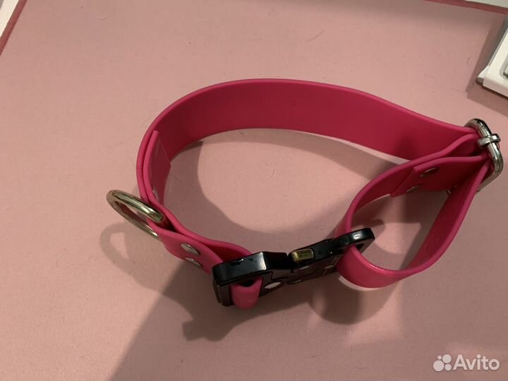 Ошейник на кобре