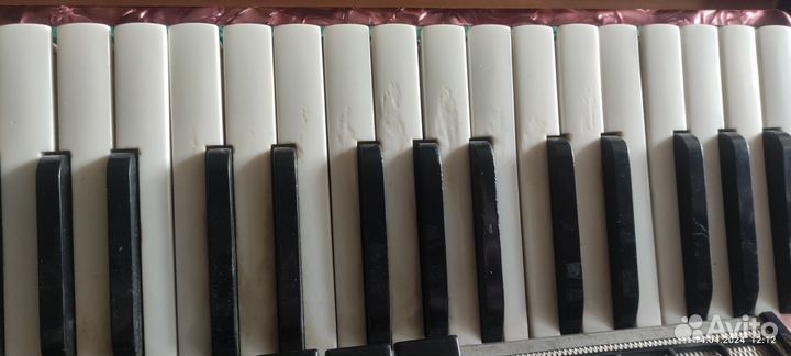 Аккордеон Восход - 2