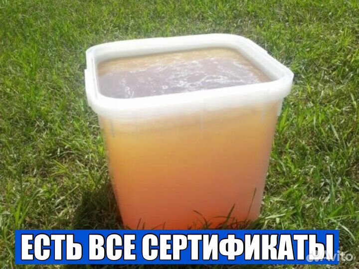 Алтайский Мёд оптом