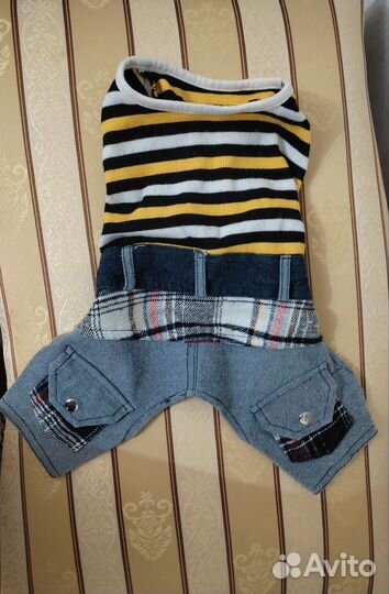 Комбинезон для маленькой собачки