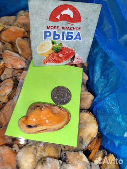 Мясо мидий отборное