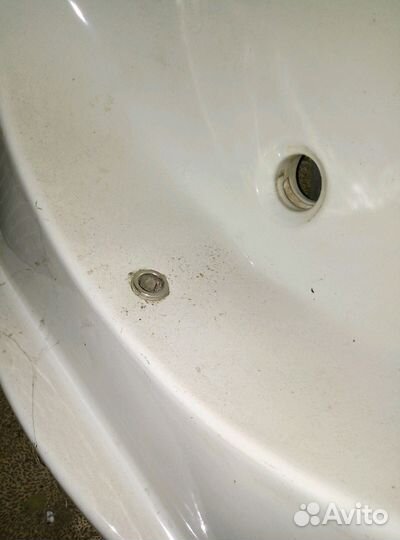 Раковина тюльпан