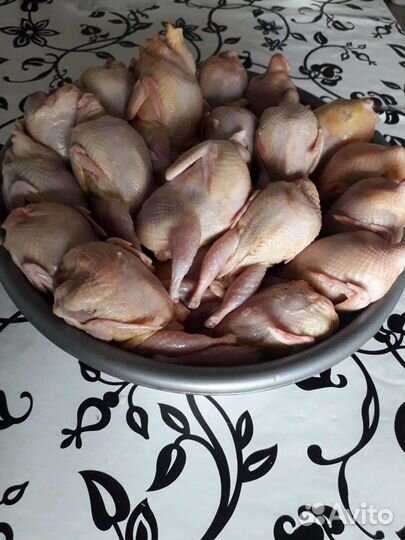 Мясо перепела