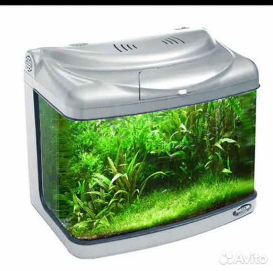 Аквариум