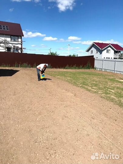 Посевной газон, посев газона