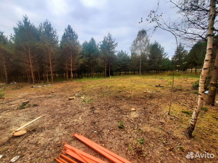 Расчистка участка, спил, благоустройство