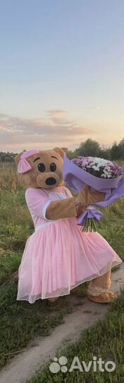 Продам костюм ростовой куклы