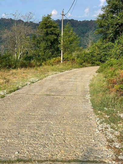 Участок 6,3 сот. (ИЖС)