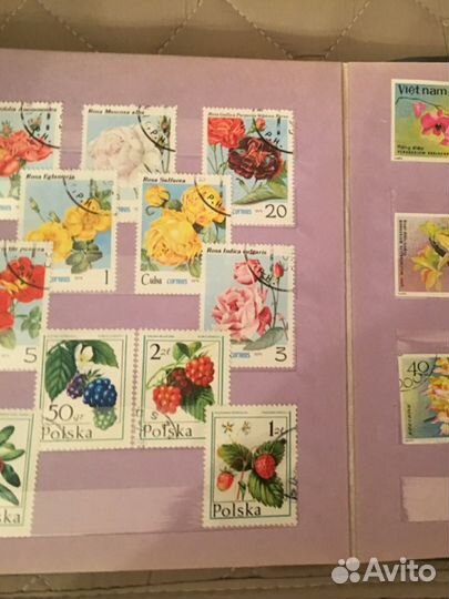 Коллекция флора