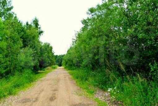 Участок 21,4 сот. (ИЖС)