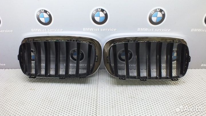 Решетка радиатора (пара) BMW X5(F15)