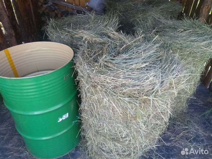 Сено в рулонах 2023
