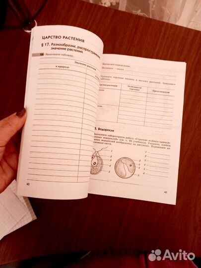 Рабочая тетрадь по биологии 5 класс