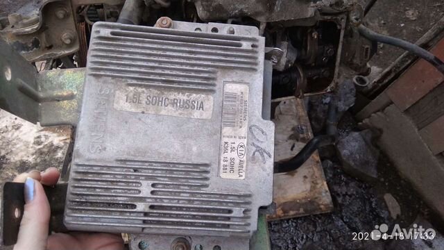 B5 Mazda, Kia