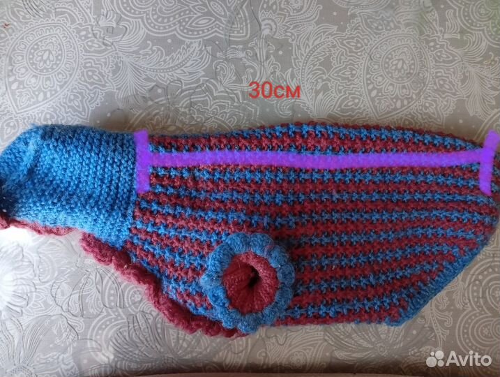 Одежда для собак мелких пород