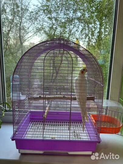 Клетка для попугая