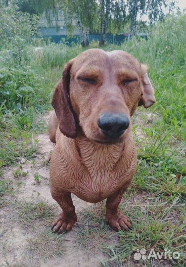 Такса кабель на вязку