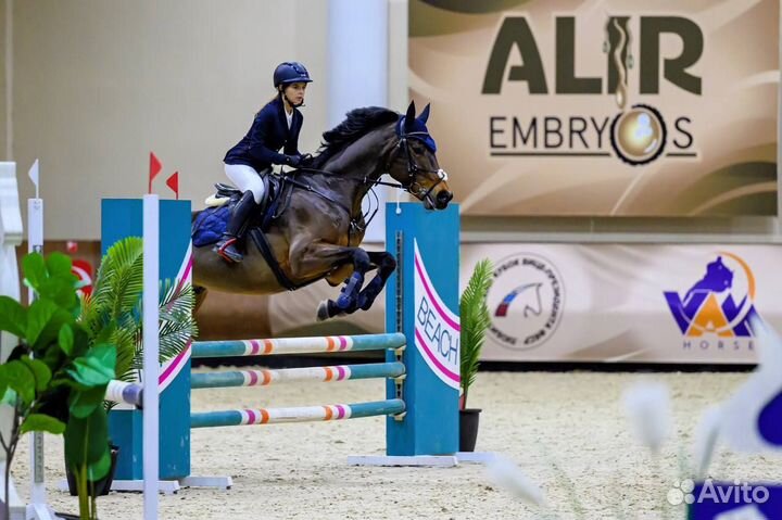 Тренер по конному спорту