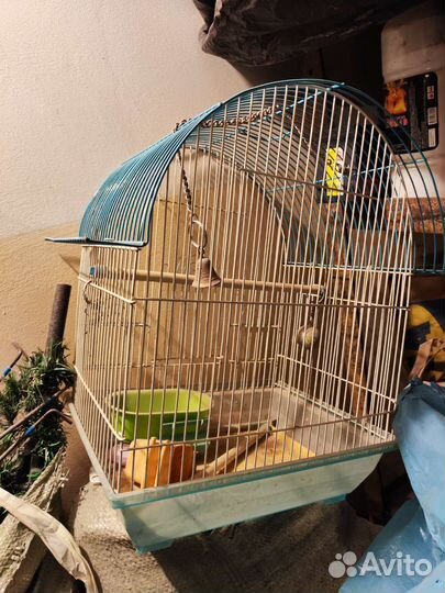 Клетка для попугая