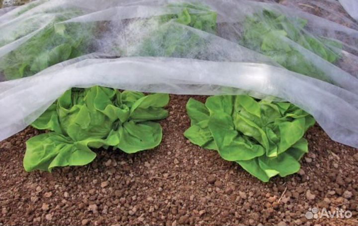 Укрывной материал Агротекс (спанбонд)