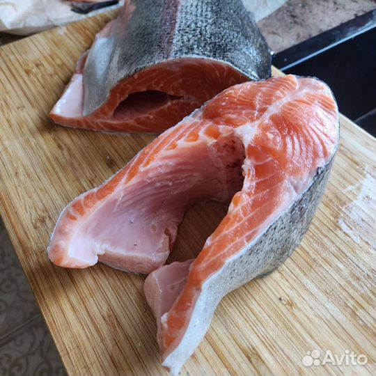 Морская форель с Баренцева моря потрошенная